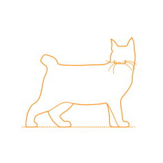 Animals Cats Pixie Bob Cat Craft Design Svg File, Free Vectors File